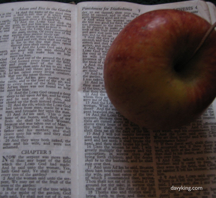 BibleApple02.jpg (88664 bytes)