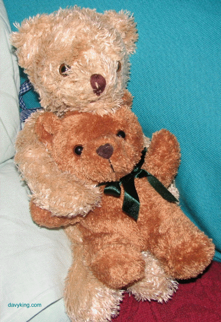 IMG_1486teddyCROPPEDsmaller.gif (197009 bytes)