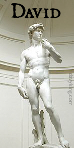 MichelangelosDavid.jpg (27131 bytes)