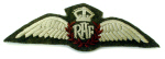 RAF_Service_Dress_WingSmall.jpg (8400 bytes)