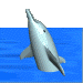 3D_dolphin.gif (21852 bytes)