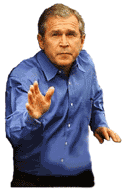 bush1.gif (14577 bytes)