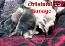 collateral damage4.gif (22156 bytes)