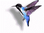 animhummingbird.gif (14848 bytes)