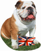 britbulldog.gif (13399 bytes)