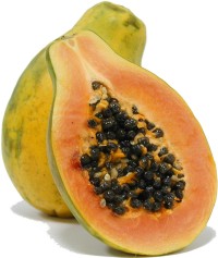 papaya.jpg (13672 bytes)