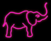 pinkelephant.jpg (9834 bytes)