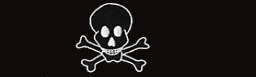 skullnew.jpg (4401 bytes)