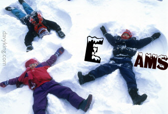 ExamsInSnow.jpg (55166 bytes)