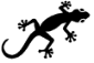 GeckoTINY2.gif (2019 bytes)