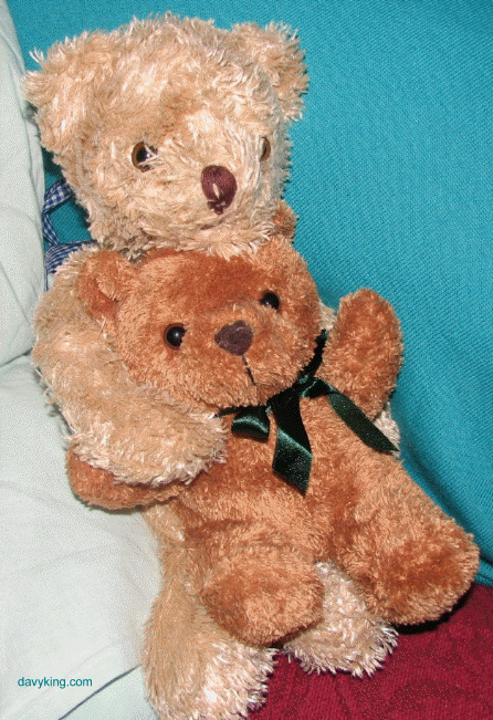 Teddy Bears!!!