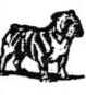 bulldog.jpg (5287 bytes)