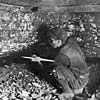 miner2.jpg (3858 bytes)