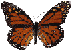 butterfly.gif (4441 bytes)