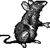 b+w_rat_SMALL.gif (3362 bytes)