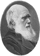 darwin1.gif (21693 bytes)