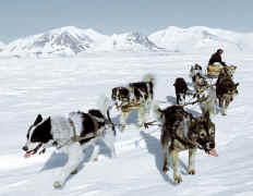 huskies-sleigh.jpg (29425 bytes)