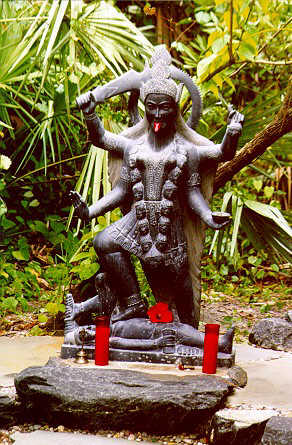 kali4.jpg (41712 bytes)