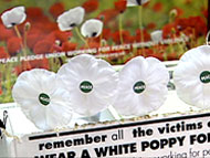 poppy_box.jpg (12373 bytes)